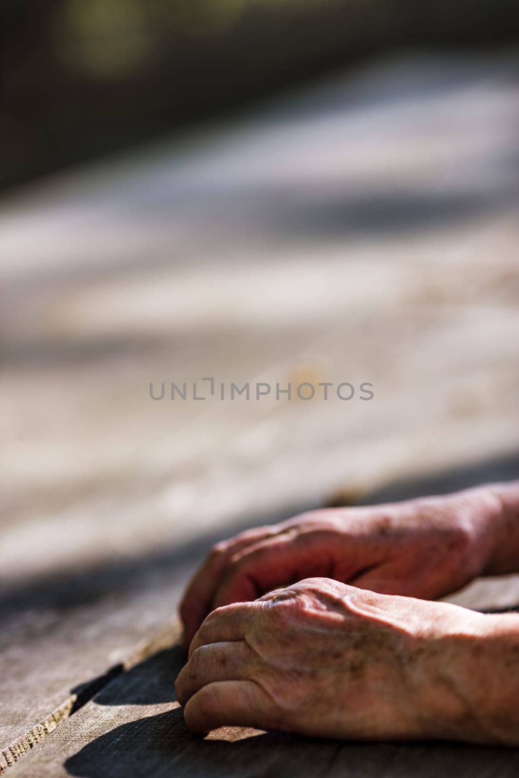In a serene forest setting, the aged hands of an elderly woman stand out. Bearing the marks of a lifetime, they speak of decades of toil and deep-felt experiences