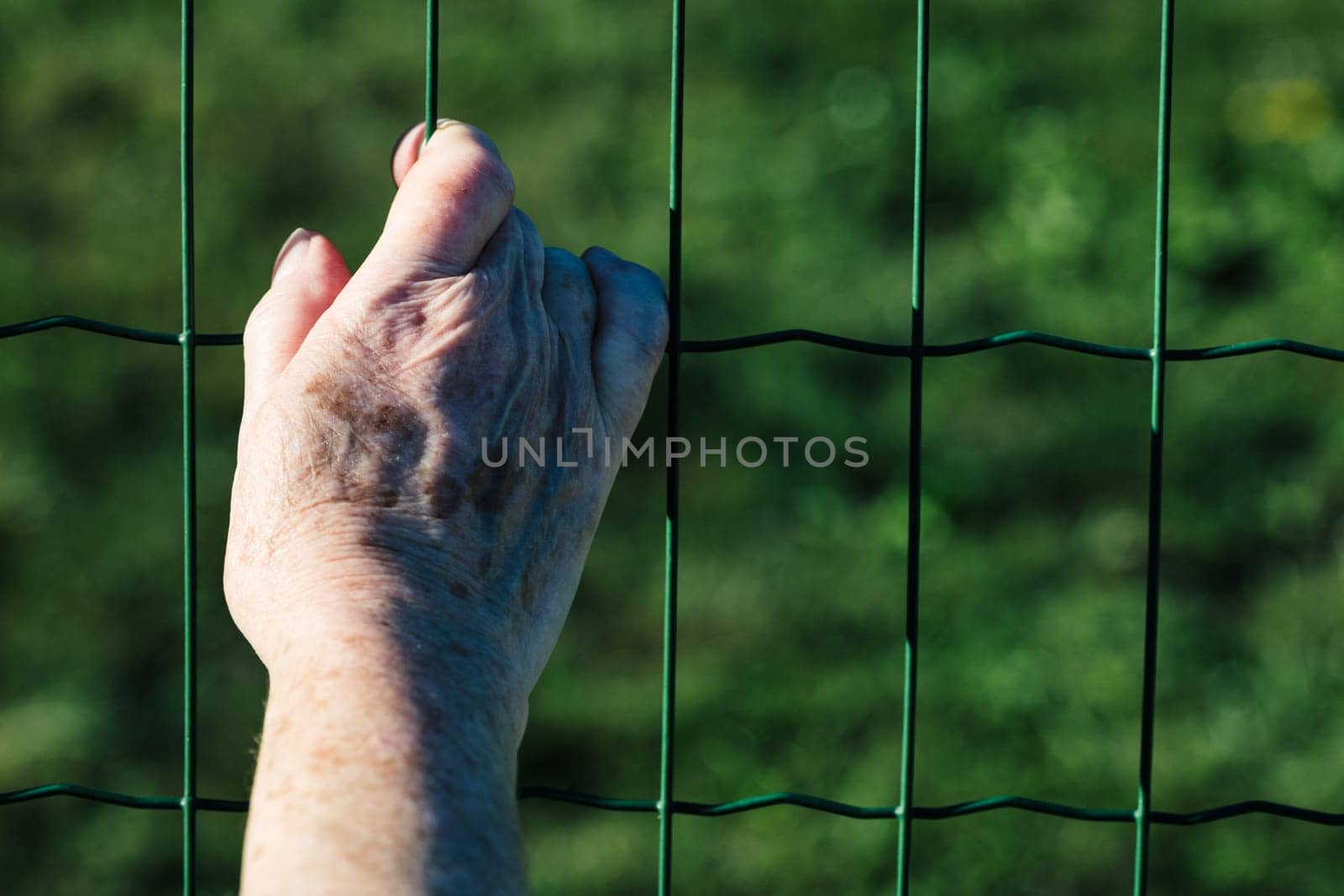 An elder's hand, marred and arthritic, tightly grips a fence. Behind, intense green leaves flourish, reflecting the paradox of life's vitality trapped within frail vessels, yearning for escape