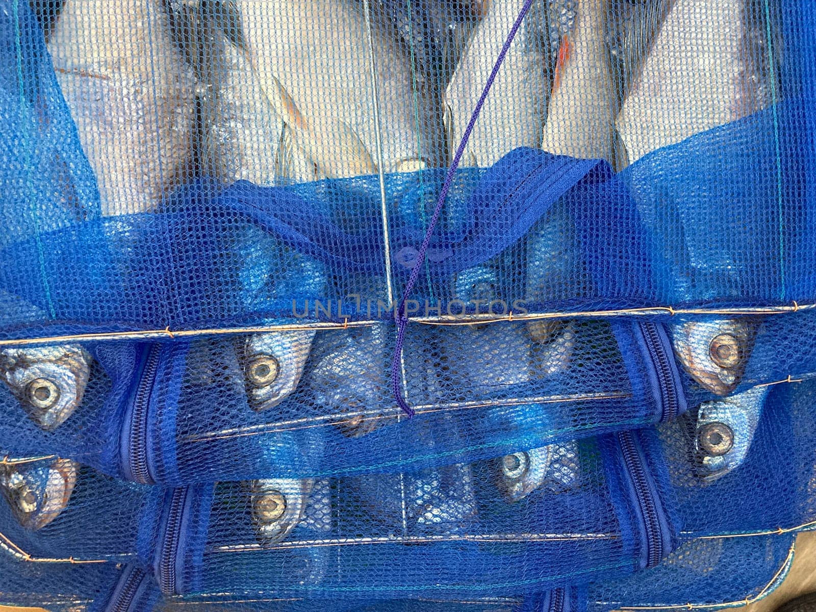Drying salted fish for the jerky