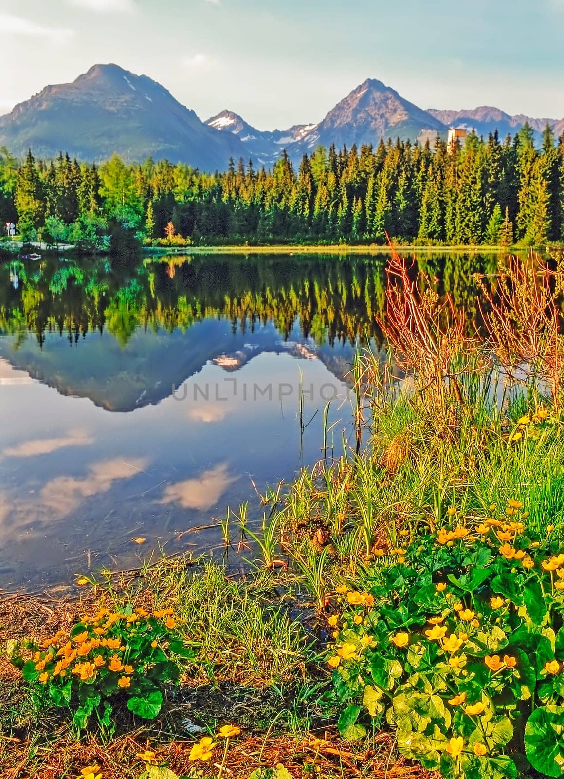 Lake in High Tatra Mountains, Slovakia