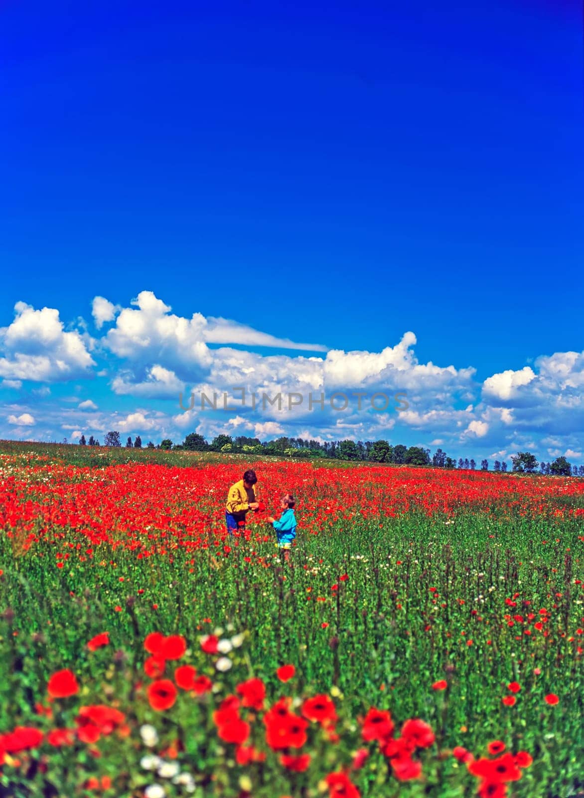 Kids in poppy field