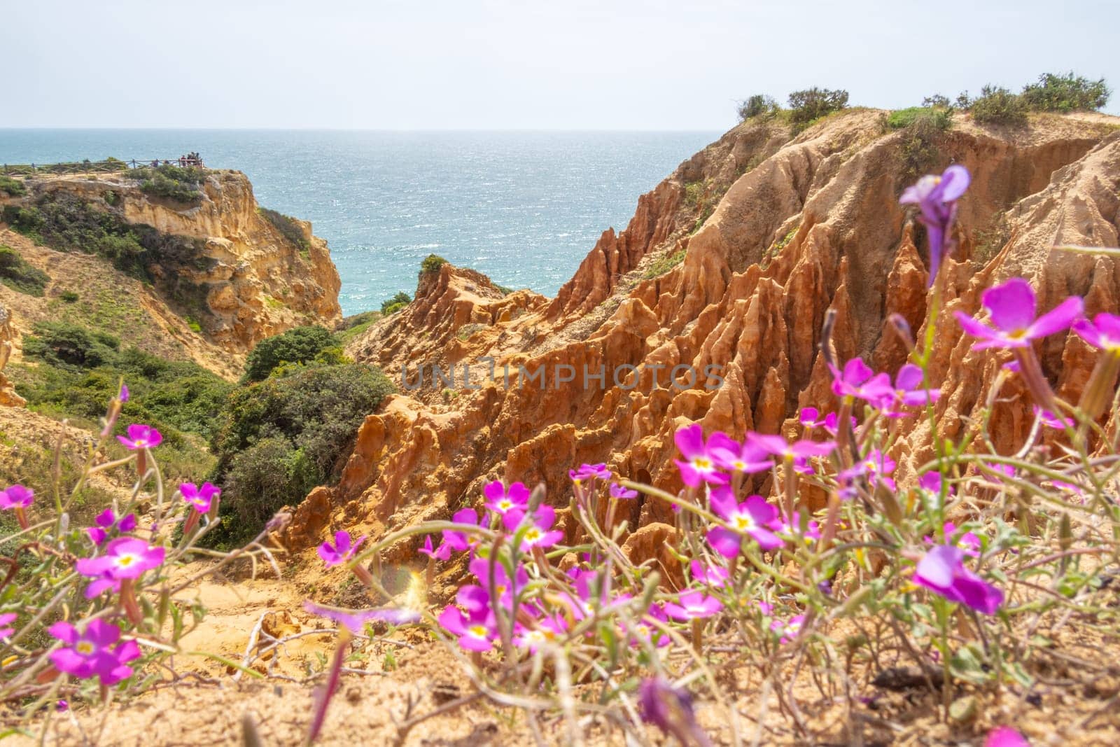 Cliffs and nature in spring near Benagil, Algarve, Portugal