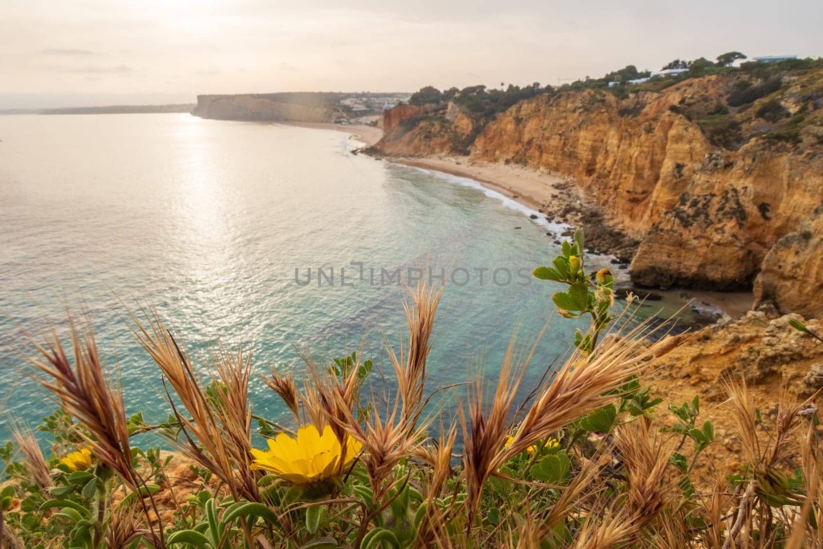 The rugged coastline where cliffs meet the shimmering Atlantic Ocean at dawn, overlooking beach near Lagos in the Algarve, Portugal