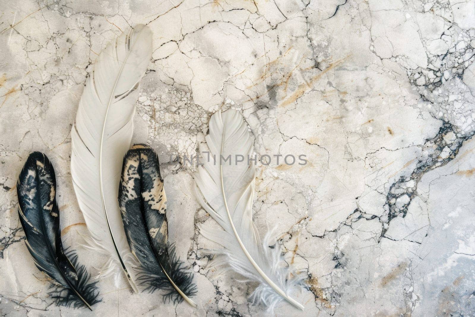 Delicate feathers arranged on a cracked marble background from top view