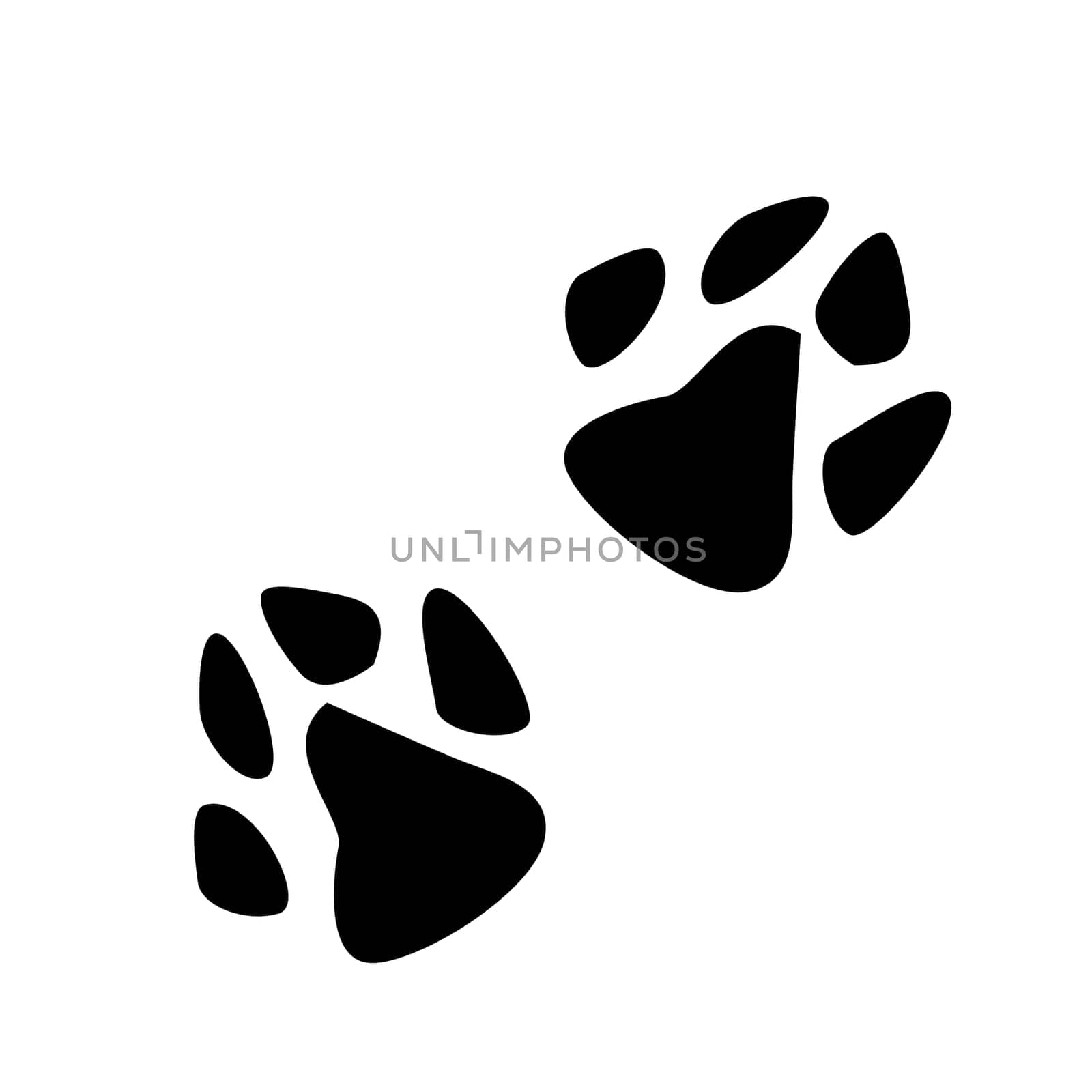 Vector illustration. Animals footprint. Footprint dog in flat design. Pow print animals