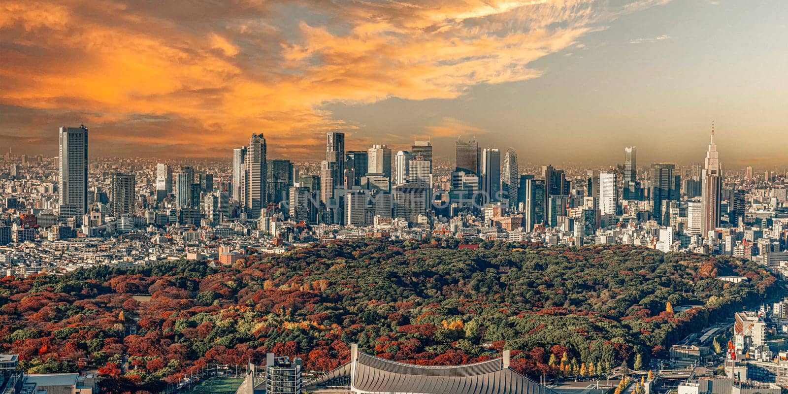Golden hour Tokyo background with autumn foliage in the foreground