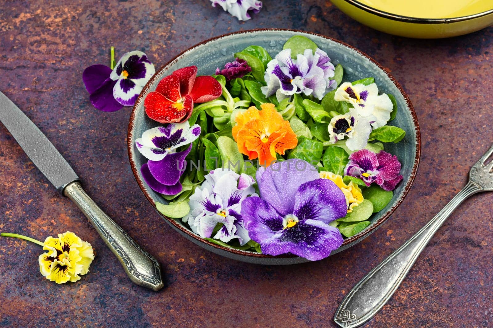 Plate with detox seasonal colorful edible flower salad. Copy space.