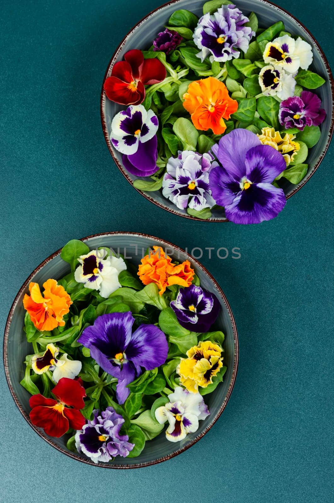 Plate with detox seasonal colorful edible flower salad. Copy space.