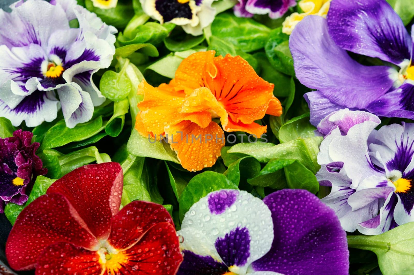 Plate with detox seasonal colorful edible flower salad. Copy space.