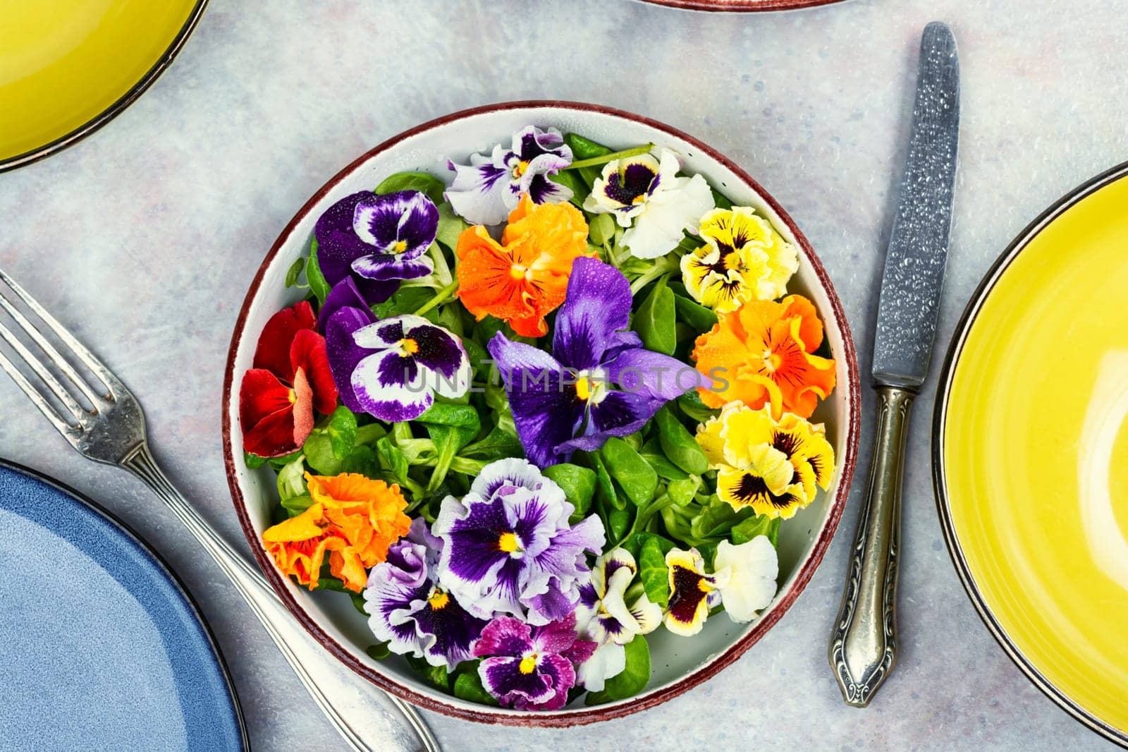 Detox seasonal colorful edible flower salad. Organic food