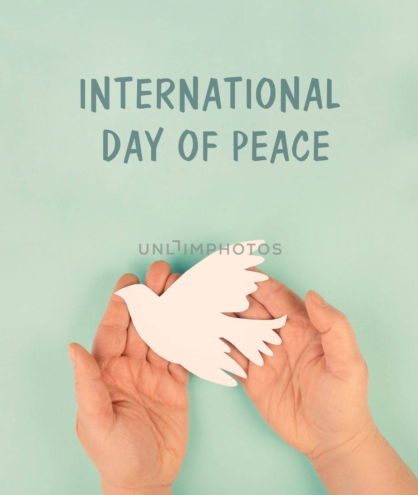 Dove flying from hand, international peace day, faith, freedom, charity and help concept, humanitarian aid