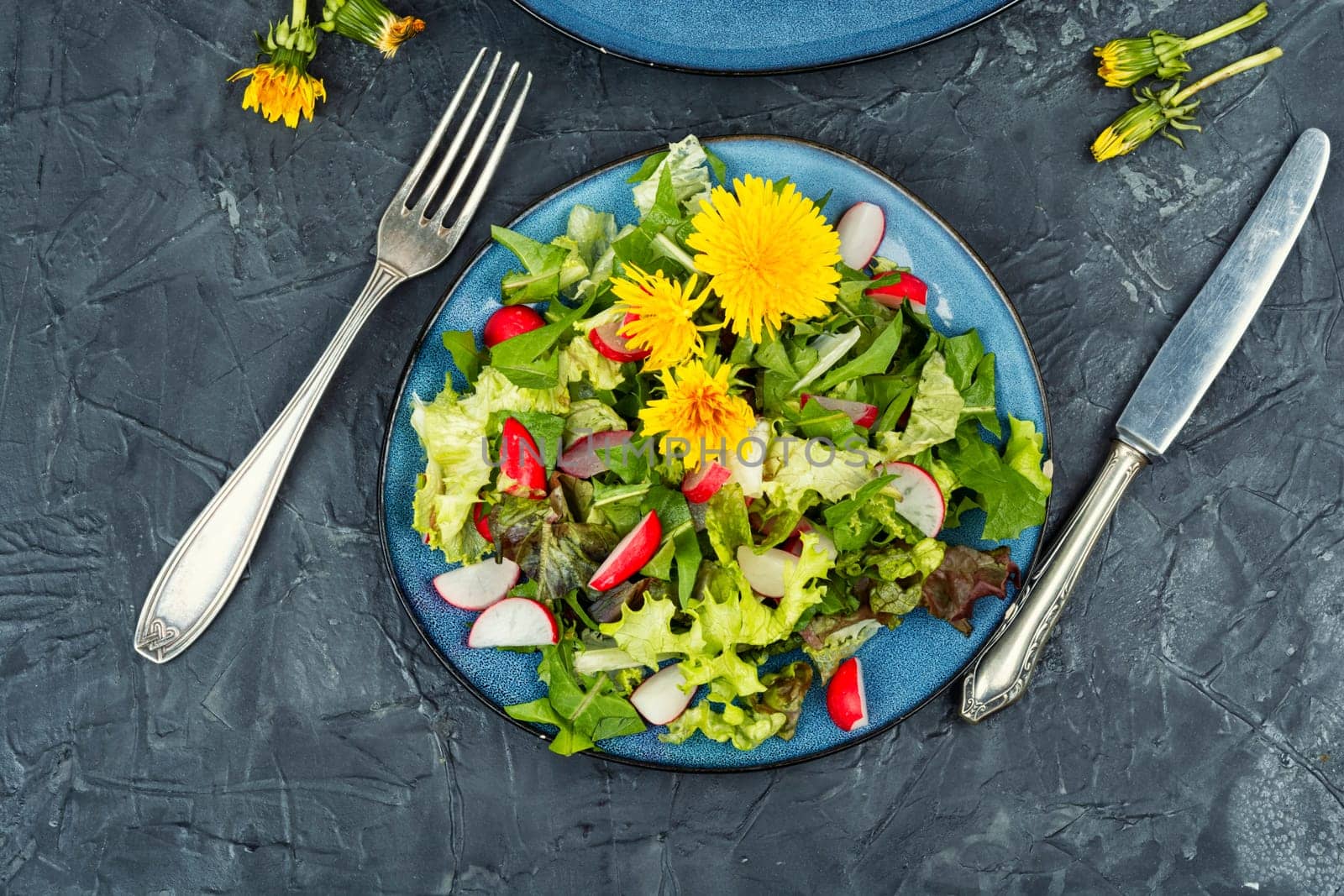 Spring salad of greens, radishes and dandelions. Top view.