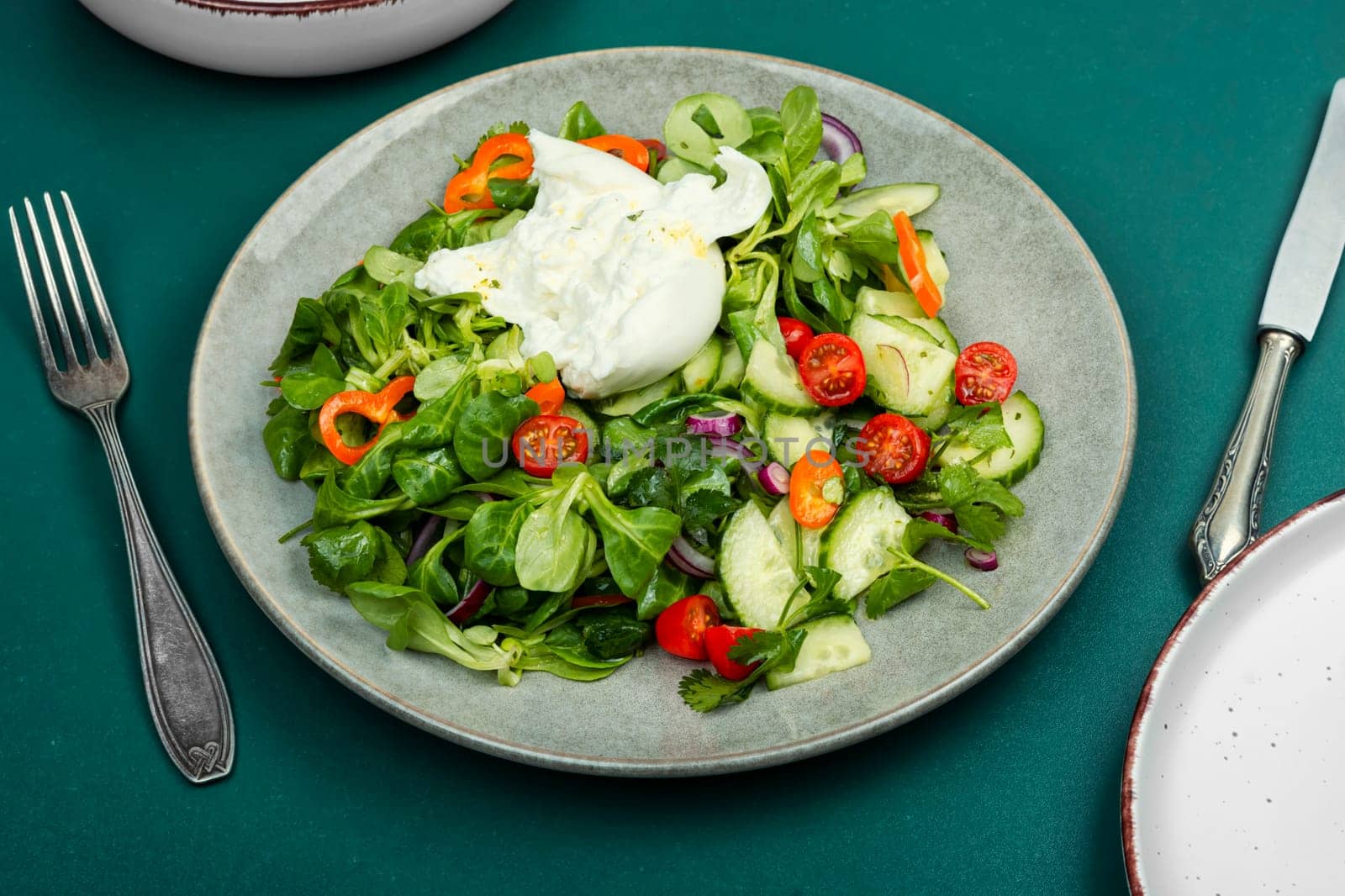 Salad of greens, tomatoes, cucumbers and fresh cream cheese Burrata. Burrata salad with vegetables on rustic wooden table