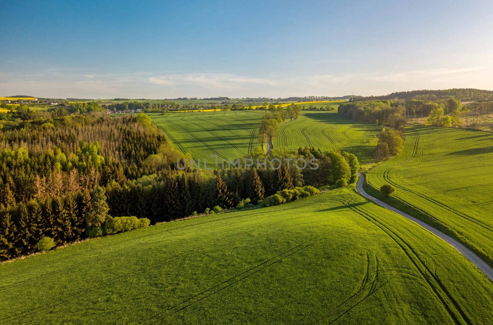 Drone flies over countryside with green wheat field. Hilly area with forest. Warm sunny spring day. Aerial view landscape. Beautiful rural landscape. Czech Republic