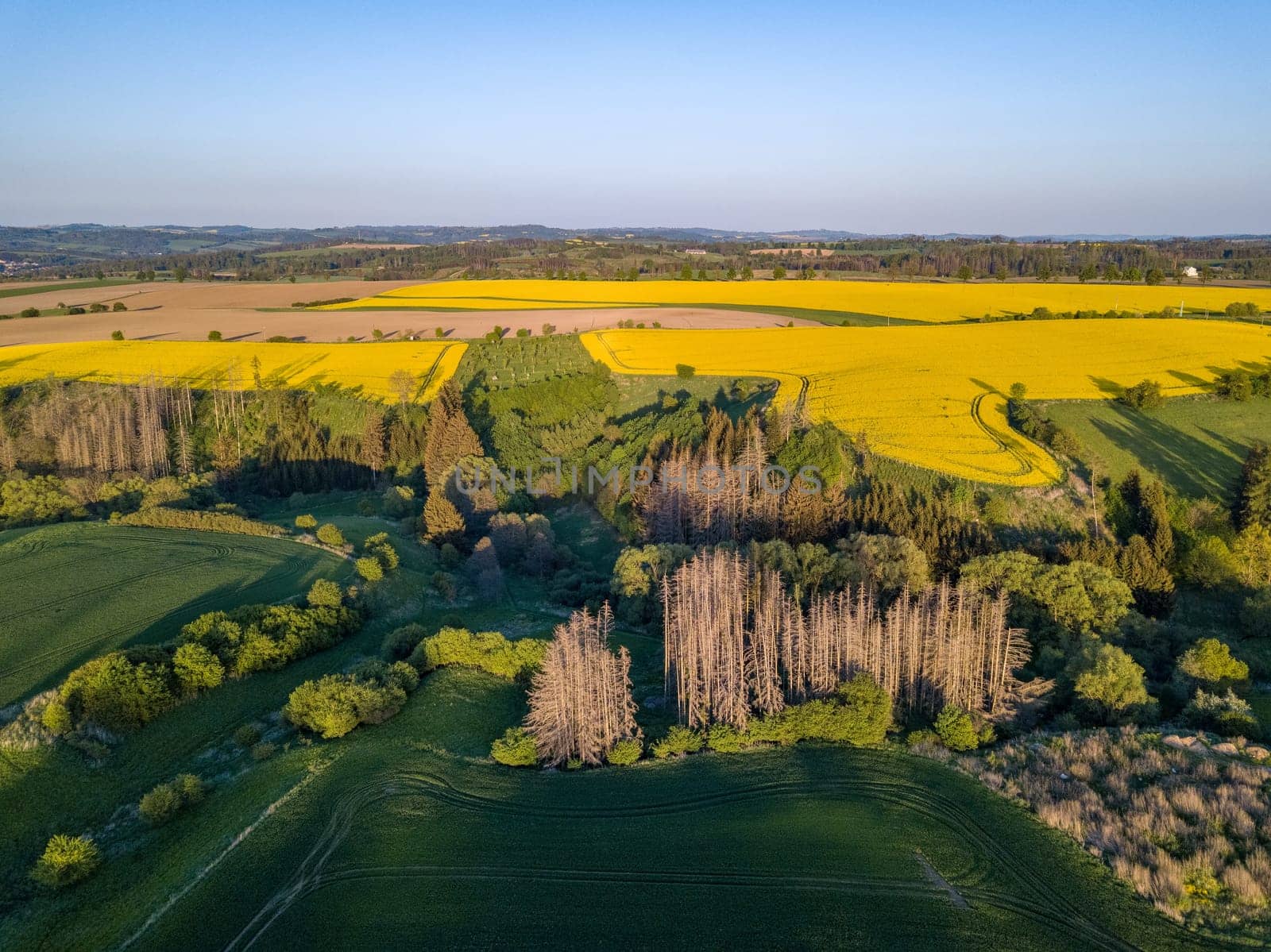 Drone flies over countryside with green wheat field. Hilly area with forest. Warm sunny spring day. Aerial view landscape. Beautiful rural landscape. Czech Republic