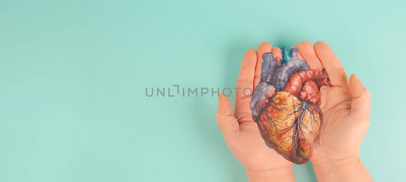 Heart attack, Myocarditis disease, inflammation of the muscle, thrombosis and cardiac stress, hands holding human organ