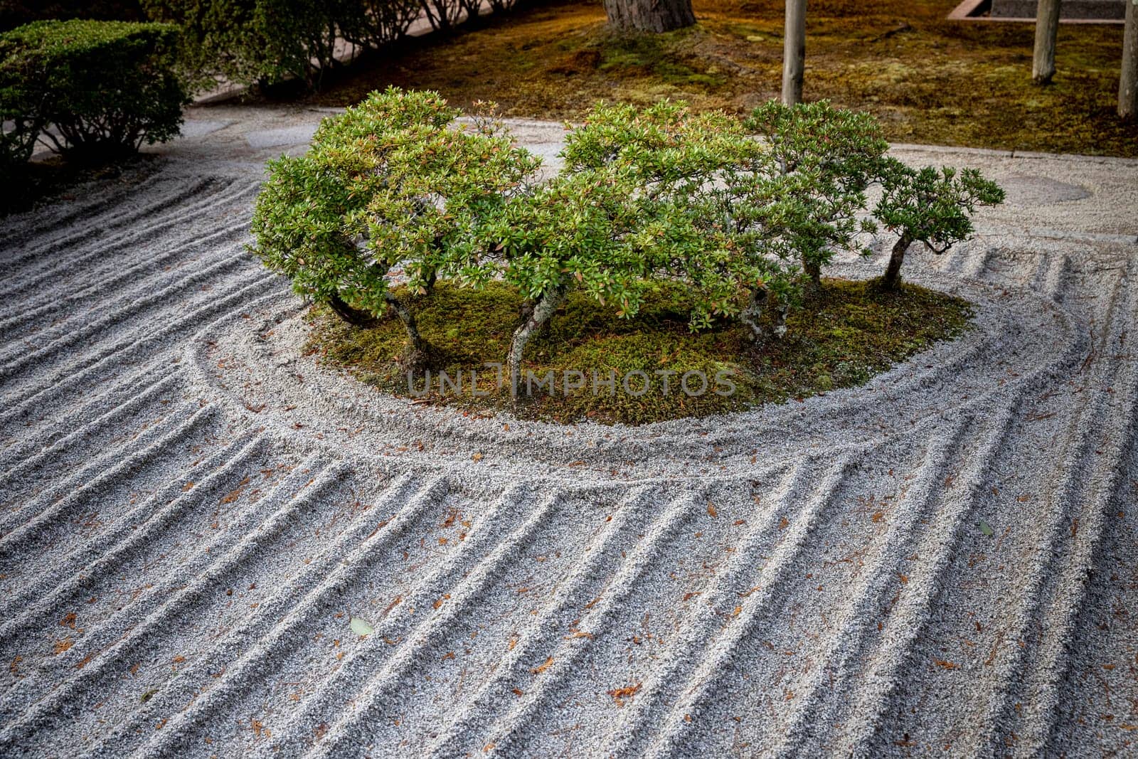 detail of the Ginkaku ji temple garden