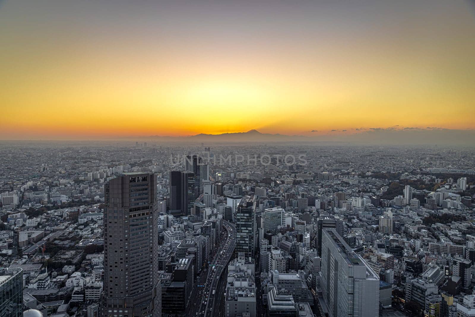 view of Tokyo city at sunset, fuji mountain in the background