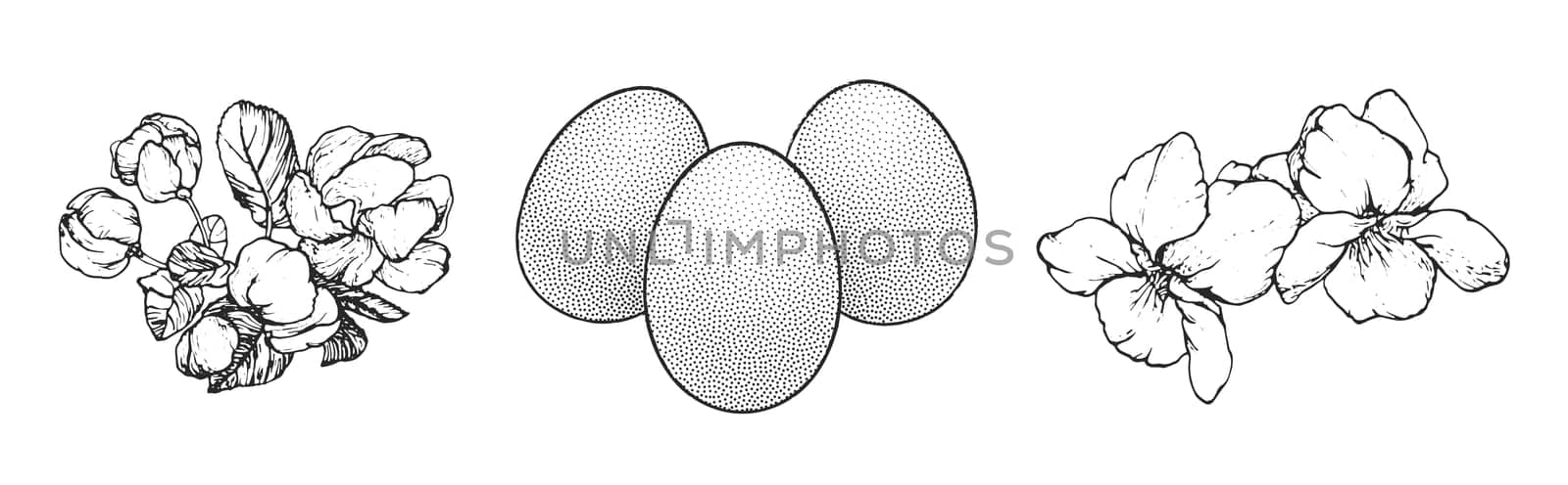 Graphical spring set isolated on white background