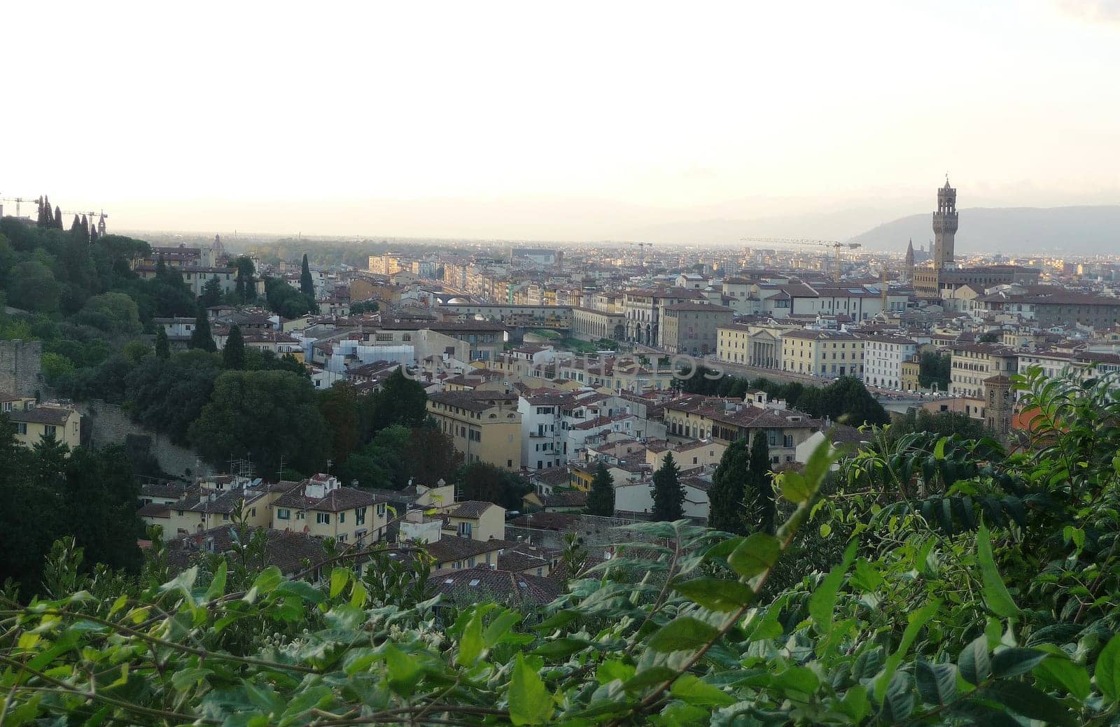 Florence Italian: Firenze is a city in central Italy and the capital city of the Tuscany region.