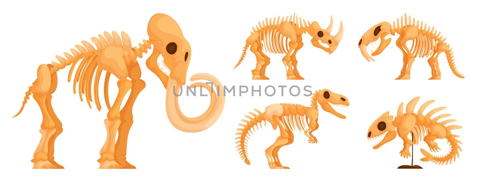 Set of dinosaur skeletons. Collection of skeletons of dinosaurs, mammoth, sabertooth, Ichthyostegalidae, rhinoceros and Trex, fossils, side view.