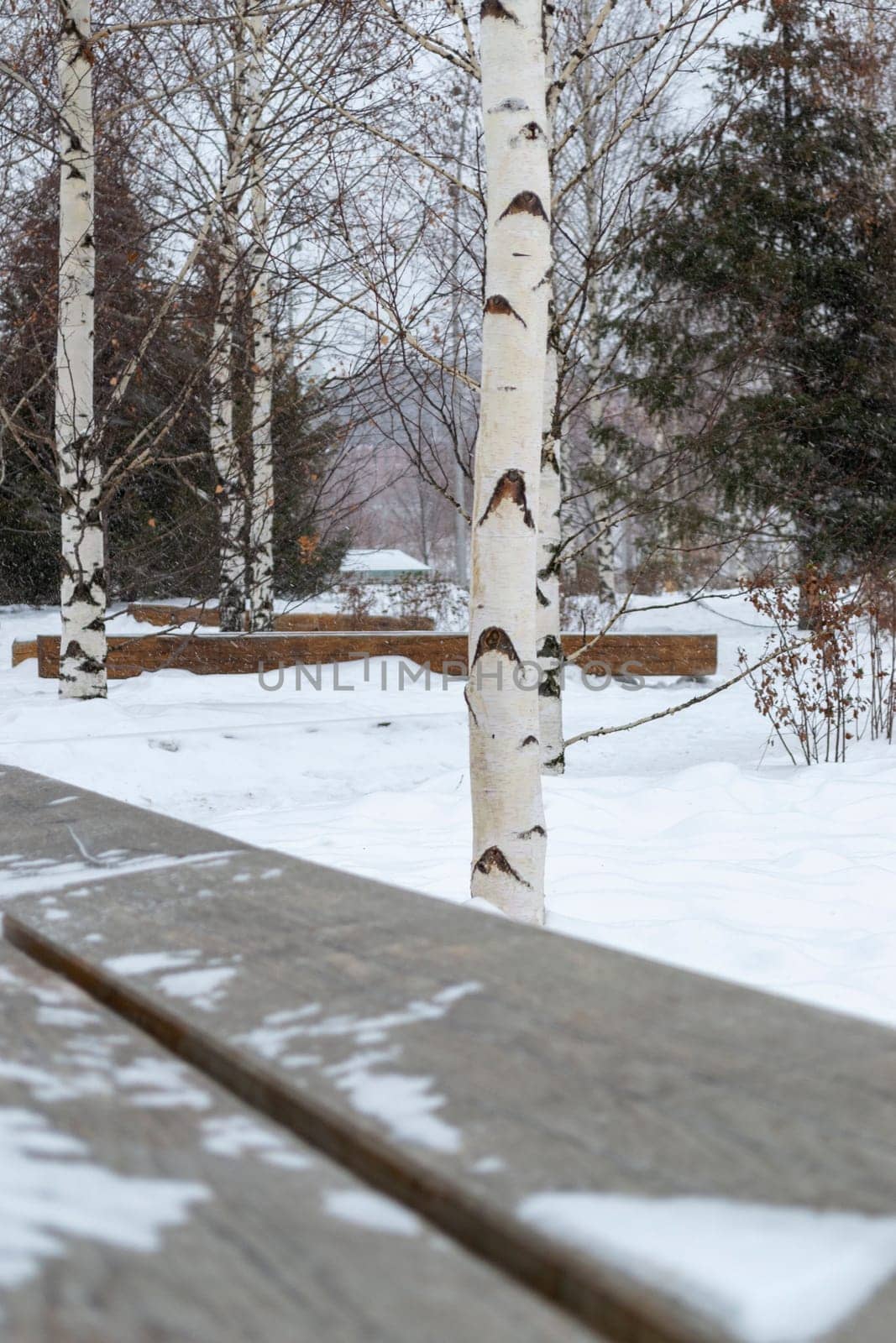 Snow in Winter in a Park with Benches and Trees. High quality photo