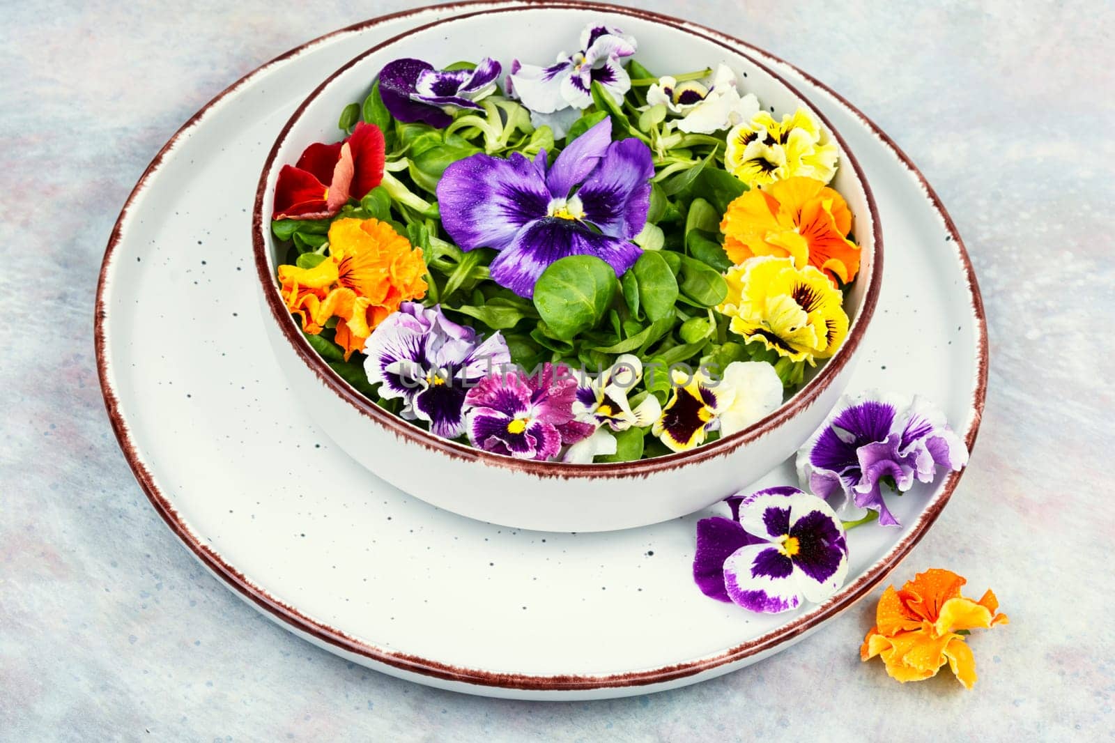 Symbolic colorful edible garden flower salad. Spring salad.