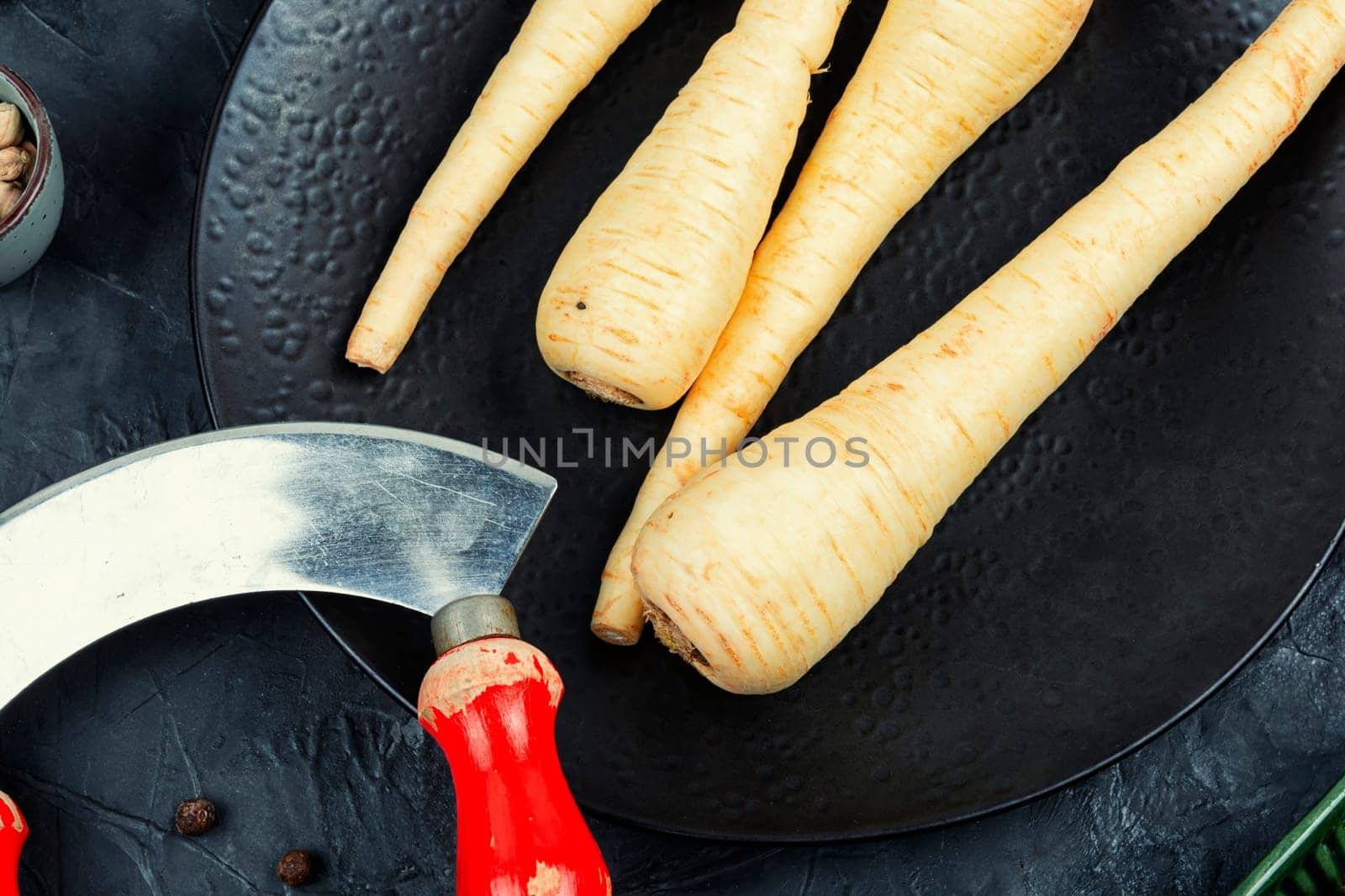 Uncooked useful whole parsnips roots on the kitchen table. Top view.