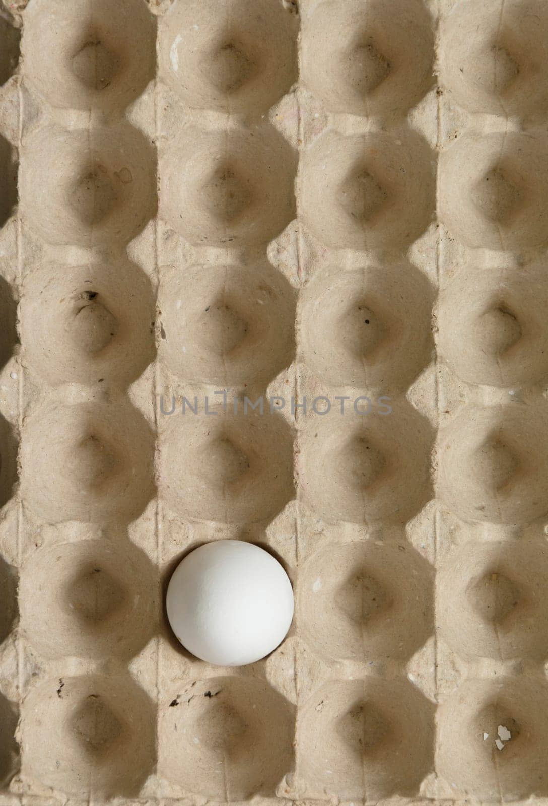 Single egg in the cardboard box - top viewpoint, vertical shot