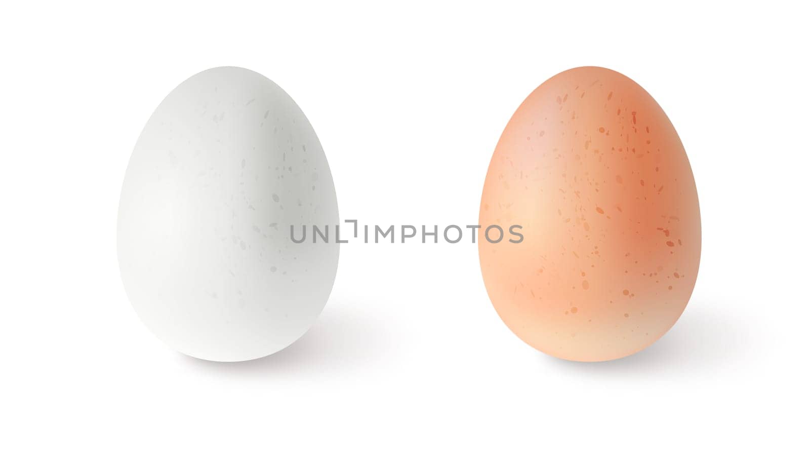 Set of realistic chicken eggs. Vector illustration isolated on white