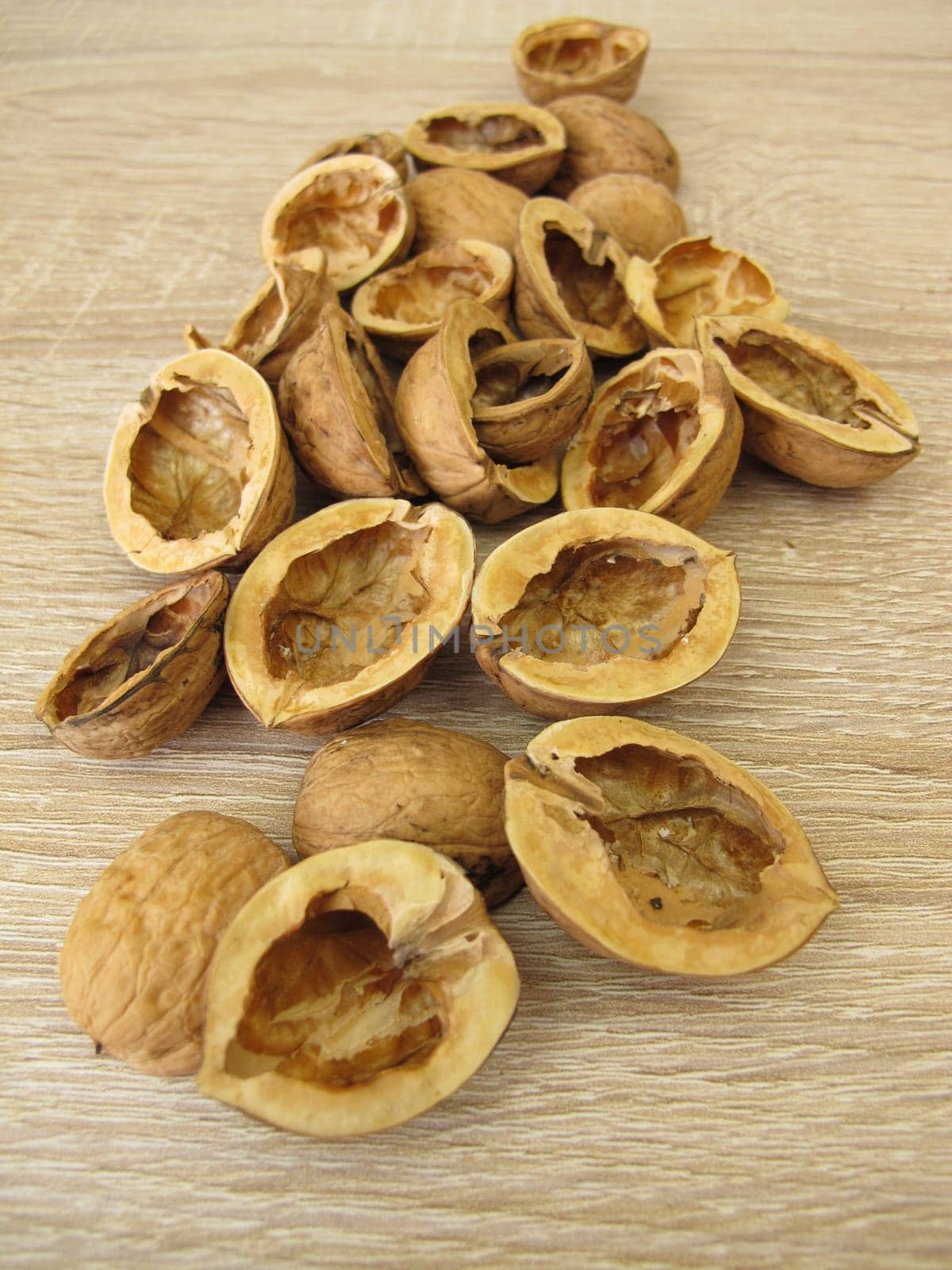 Craft material for crafting: halved walnut shells