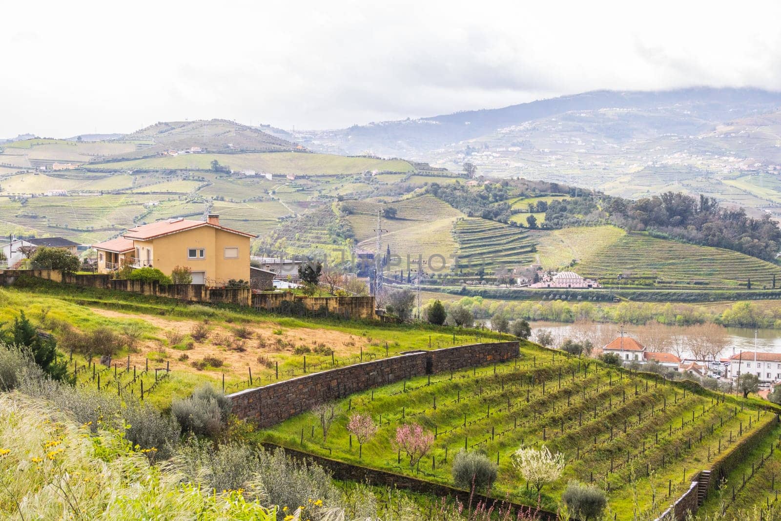 View of the Douro valley with the vineyards of the terraced fields and houses. Photographed in spring, Portugal
