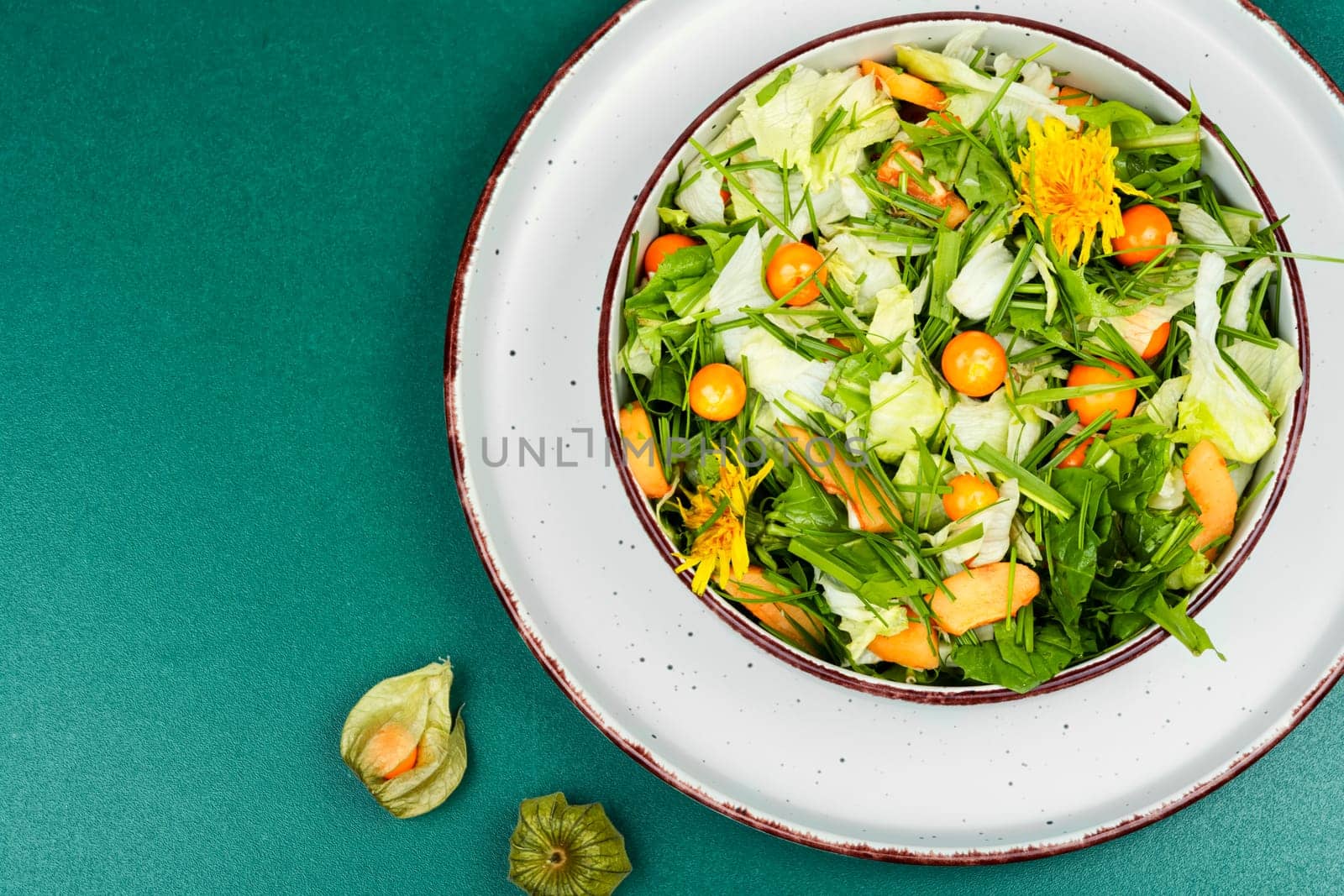 Spring salad with dandelion, field herbs and physalis. Copy space.