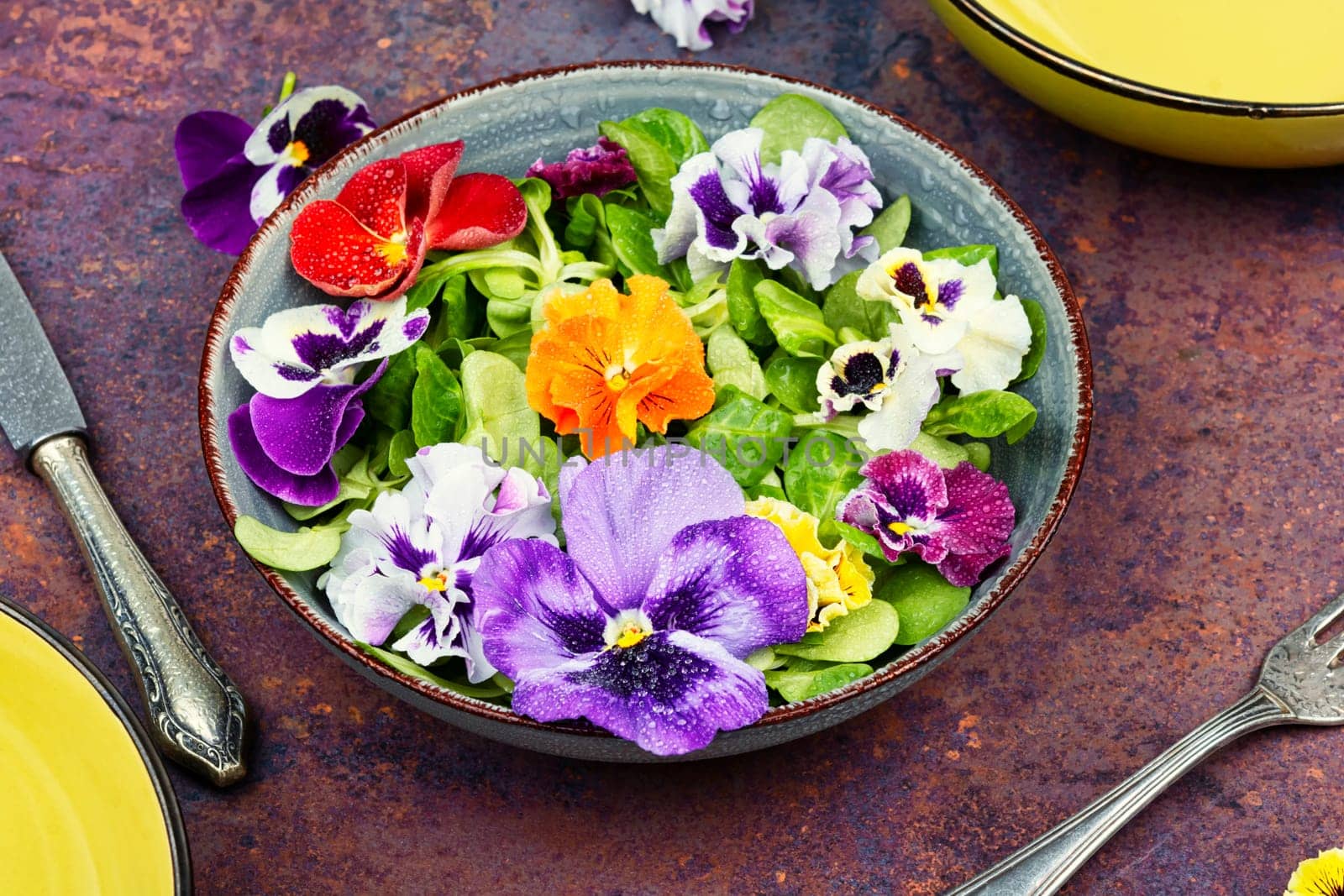 Plate with detox seasonal colorful edible flower salad.