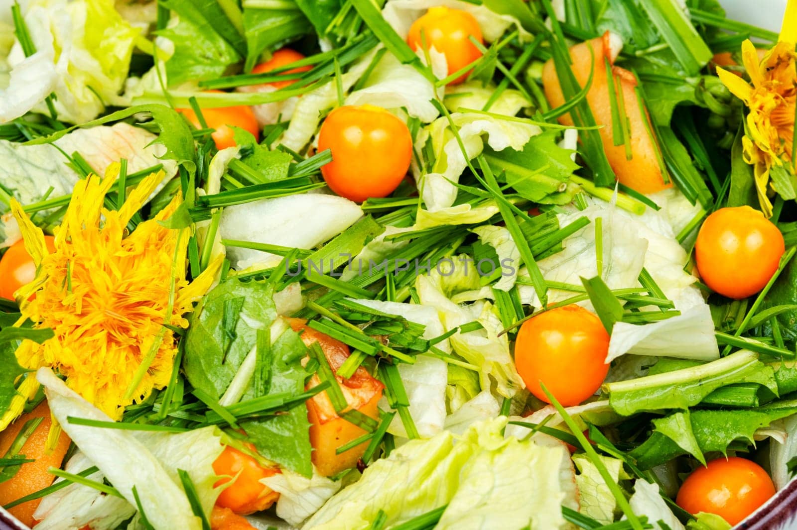 Spring salad with dandelion, field herbs and physalis. Copy space.