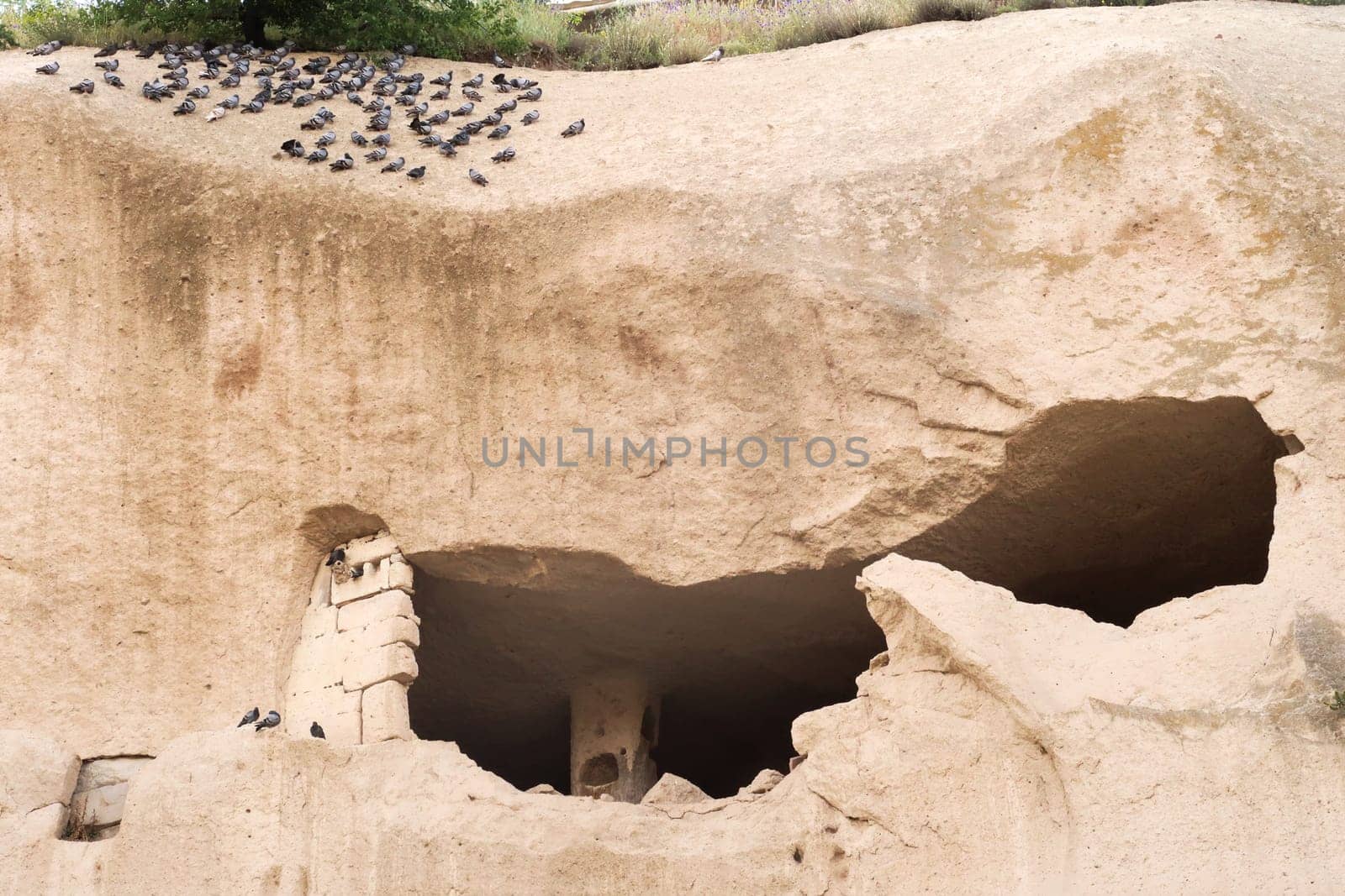 Dovecote carved into a cliff at the end of the Pigeon Valley, Güvercinlik Vadisi with a lot of Pigeons sitting on top, close to Uchisar, Cappadocia, Turkey 2022