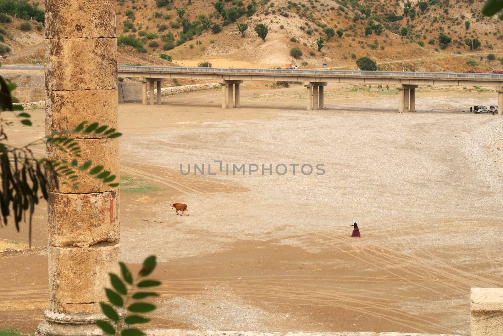 View from the Severan, Cendere onto the plain behind it, a local woman ist following her cow, close to Adiyaman, Turkey 2022