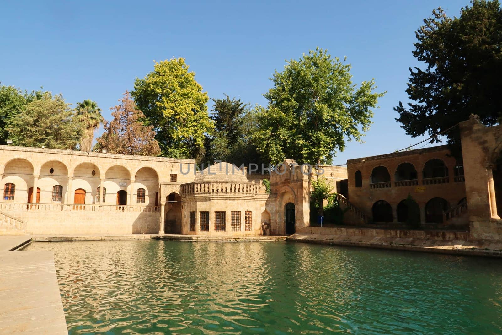 The green Balikligöl Pool or Pool of Abraham with the Halil Ul Rahman Camii, Mosque in the background, Sanliurfa, Turkey 2022