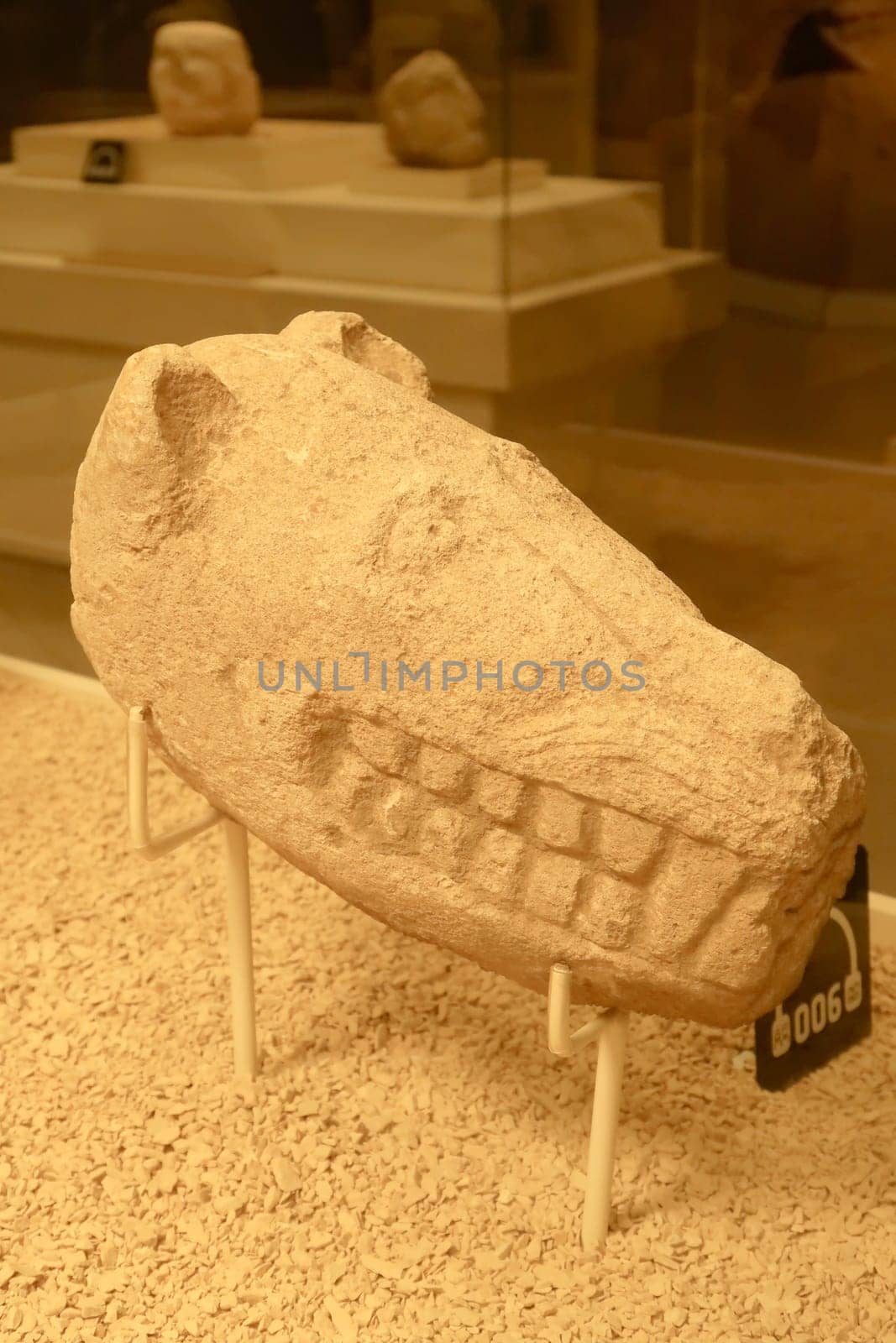 Neolithic stone sculpture, statue of a cat, feline, predator head, found in the area of Göbekli Tepe and displayed in the Sanliurfa Museum, Sanliurfa, Turkey 2022