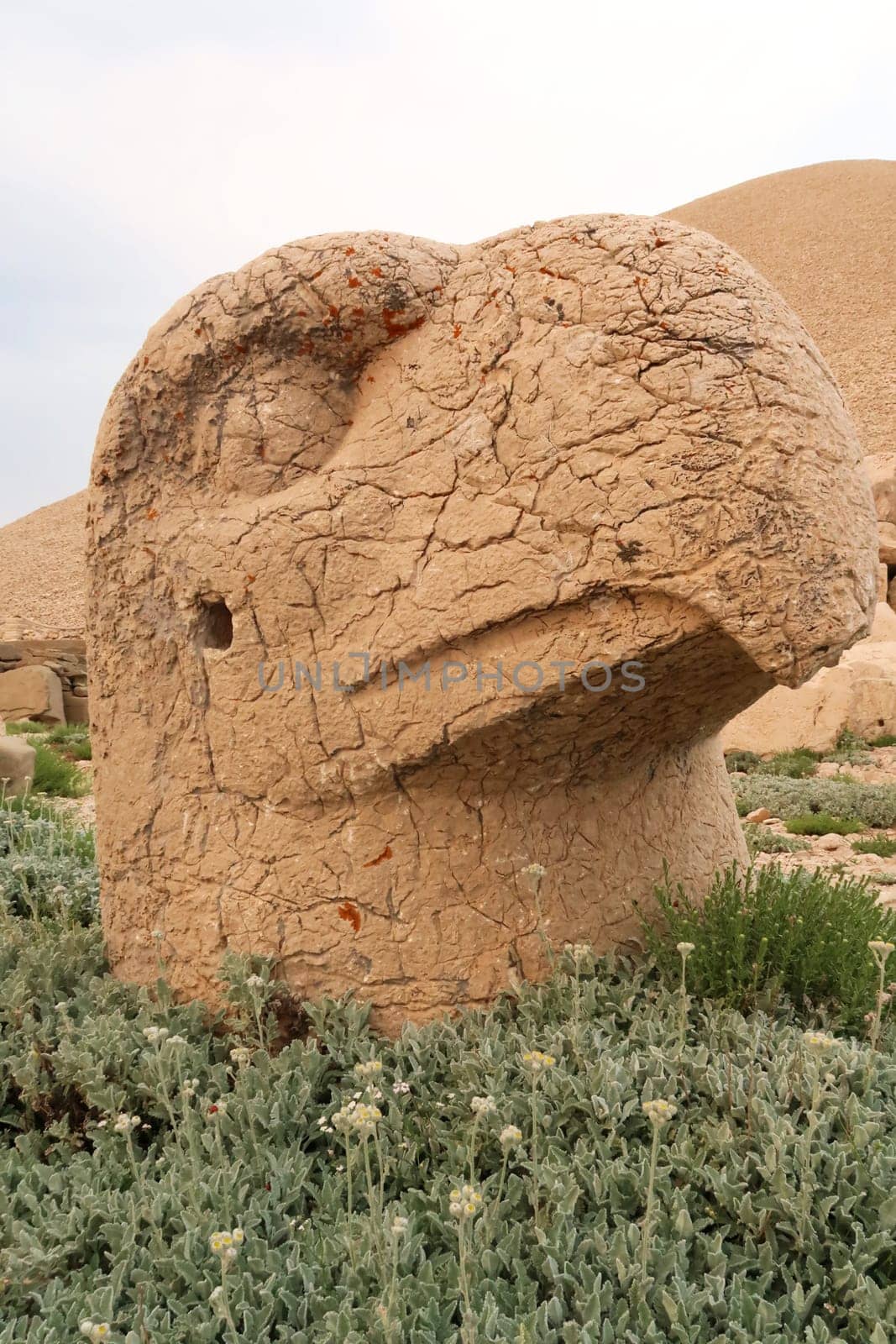 Head of a stone statue, sculpture of an eagle on the West Terrace of Mount Nemrut, close to Adiyaman, Turkey 2022
