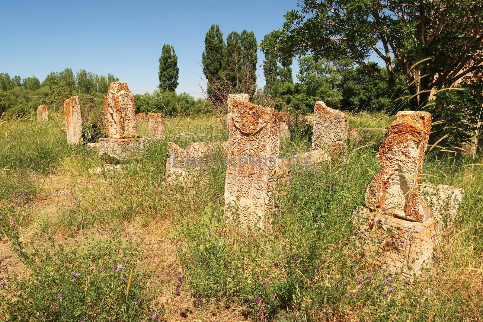 Seljuk graveyard, cemetery next to the Halime Hatun tomb, Halime Hatun Kümbeti, close to Lake Van, Van Gölü, Gevas, Turkey 2022