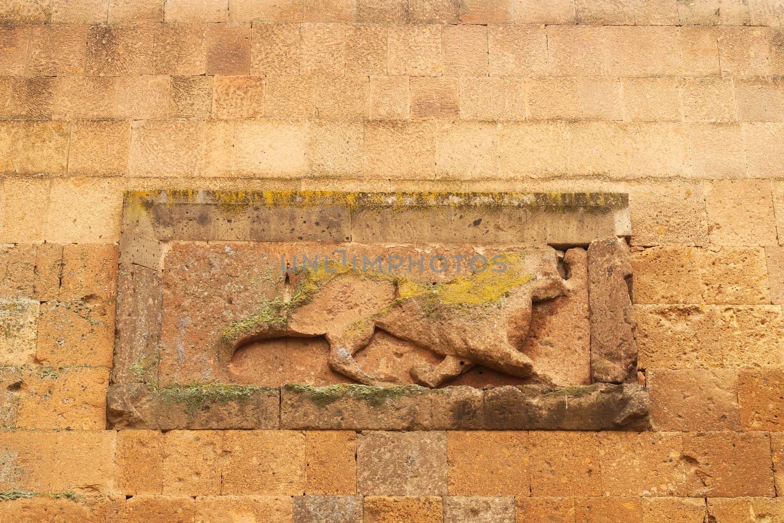 The bas relief depicting a lion on a wall close to the Lions Gate at the ancient site of Ani, an abandoned ruined armenian city, close to Kars, Turkey 2022