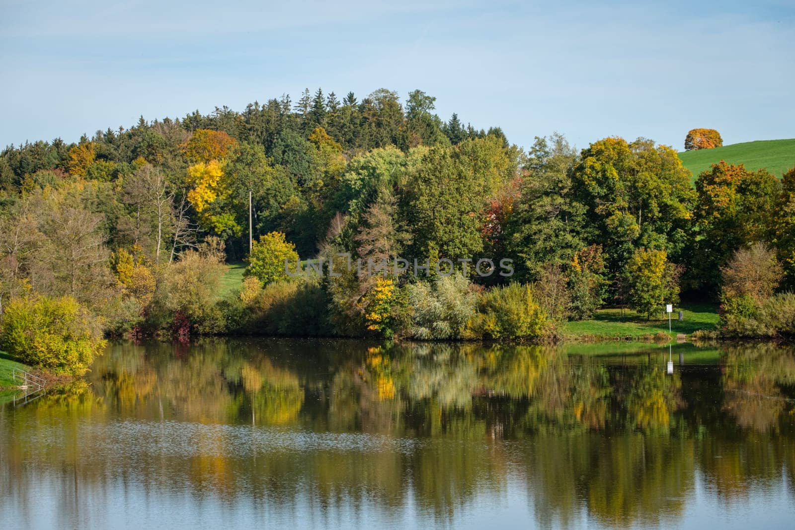 Lake forest in autumn colours landscape