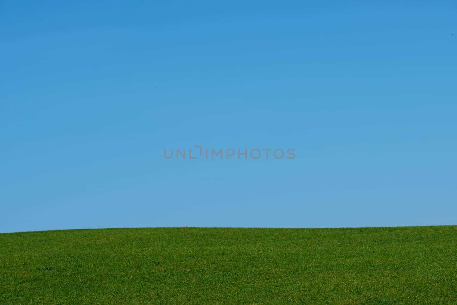Green meadwo with blue sky scenery