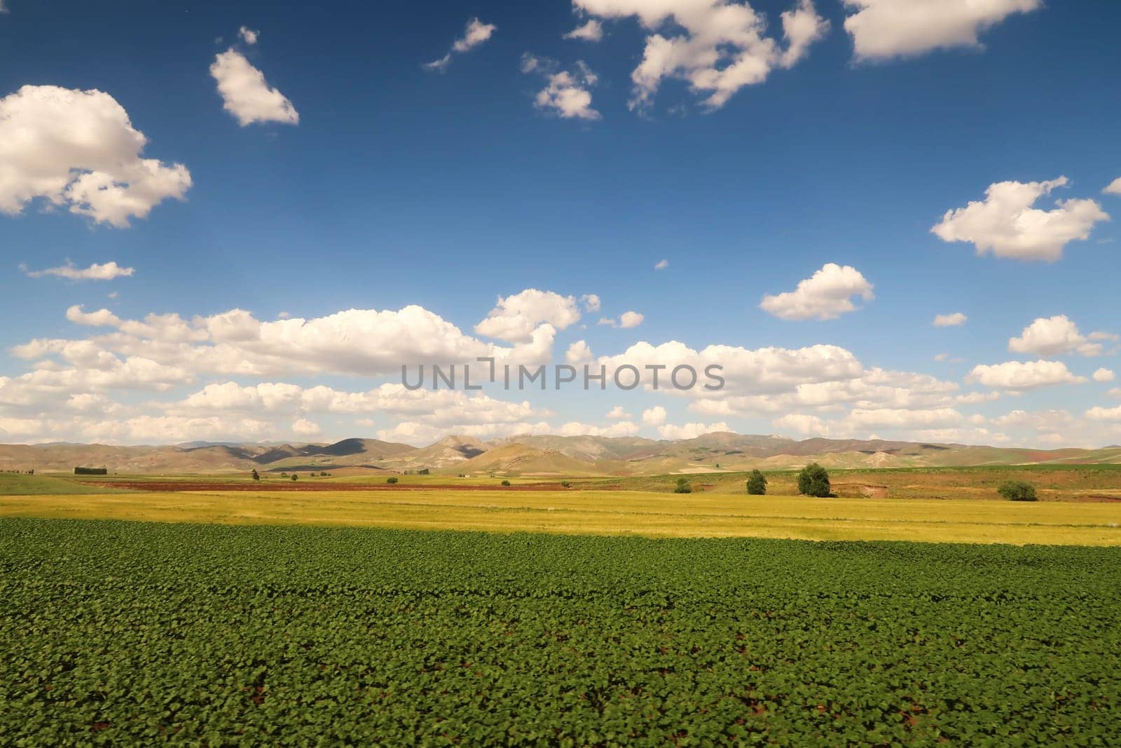 Spectacular landscpae seen on the train ride in the Eastern Express, Dogu Ekspresi from Kars to Ankara, yellow and green fields in front of mountains, clouds on a blue sky are throwing shadows, Turkey 2022