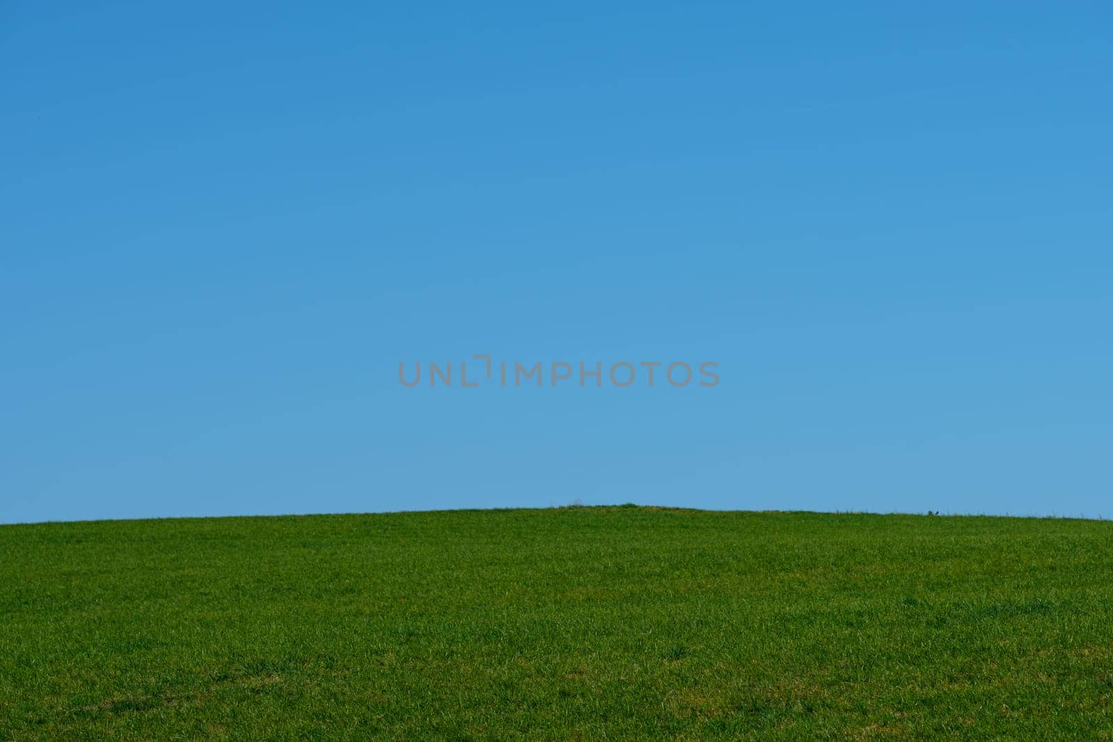 Green meadow with blus sky landscape scenery