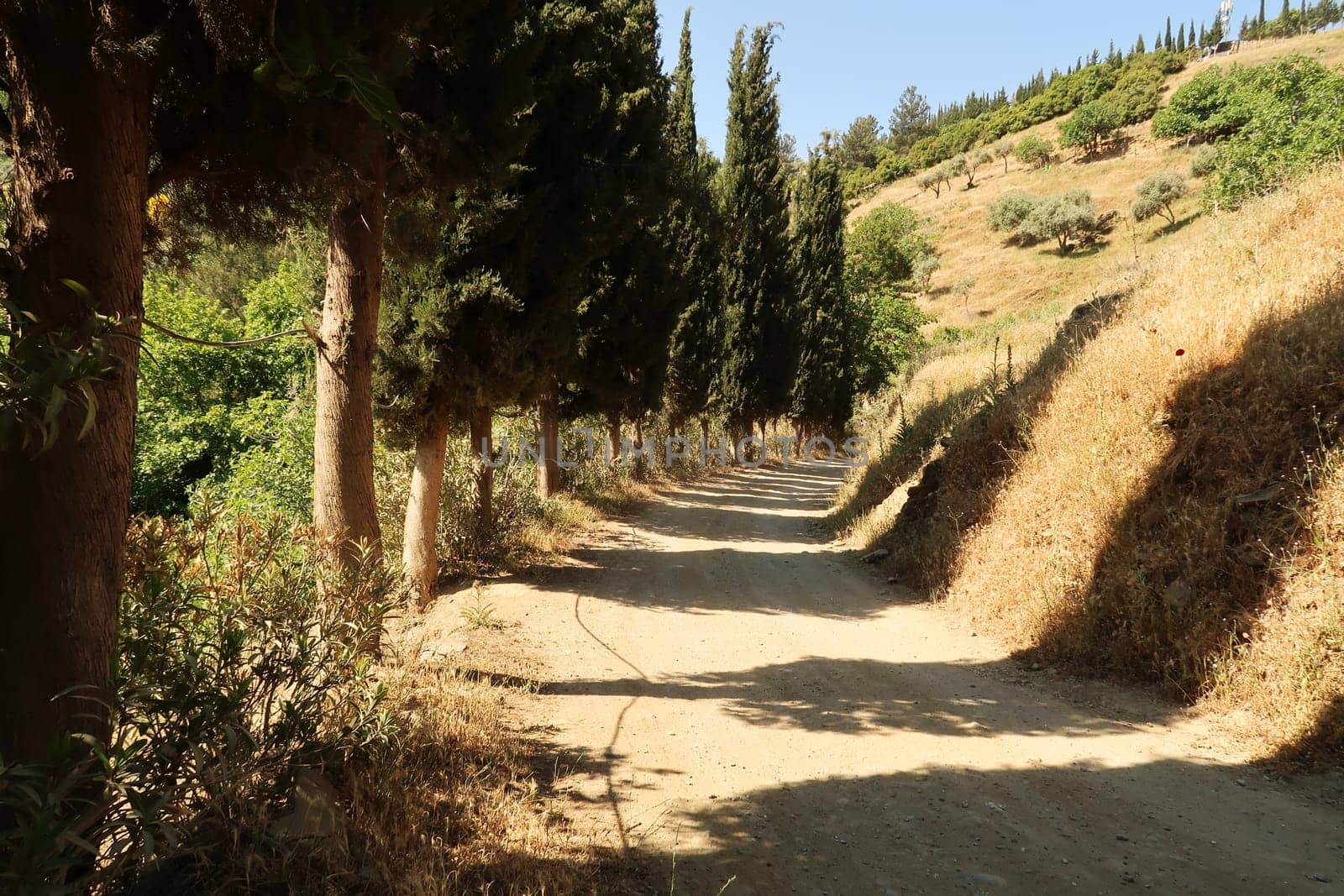 Beautiful alley avenue leading up a hill next to Sirince, Izmir, Turkey 2022