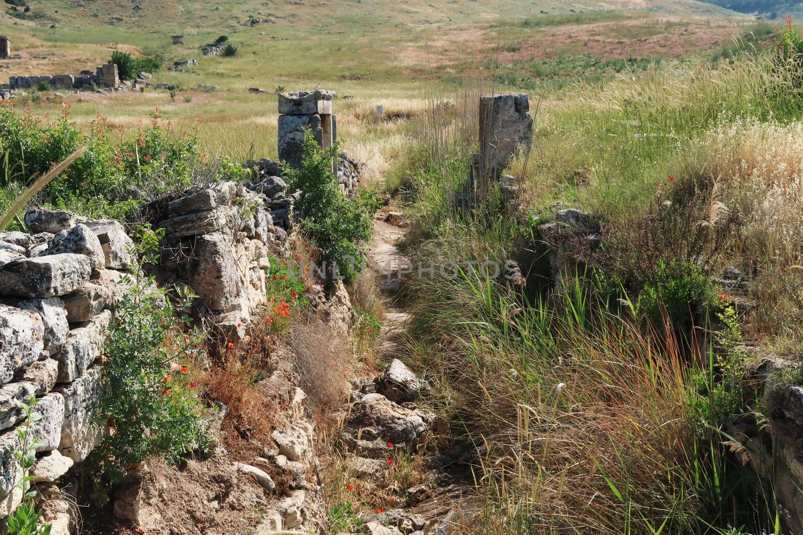 The ancient ruins of Hierapolis, getting overgrown by plants, Pamukkale, Denizli, Turkey 2022