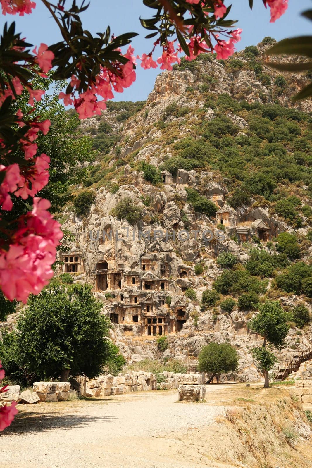 The entrance area to the ancient city of Myra, rock hewn, rock cut lycian tombs in the background, pink flowers framing it in the front, close to Demre, Turkey 2022