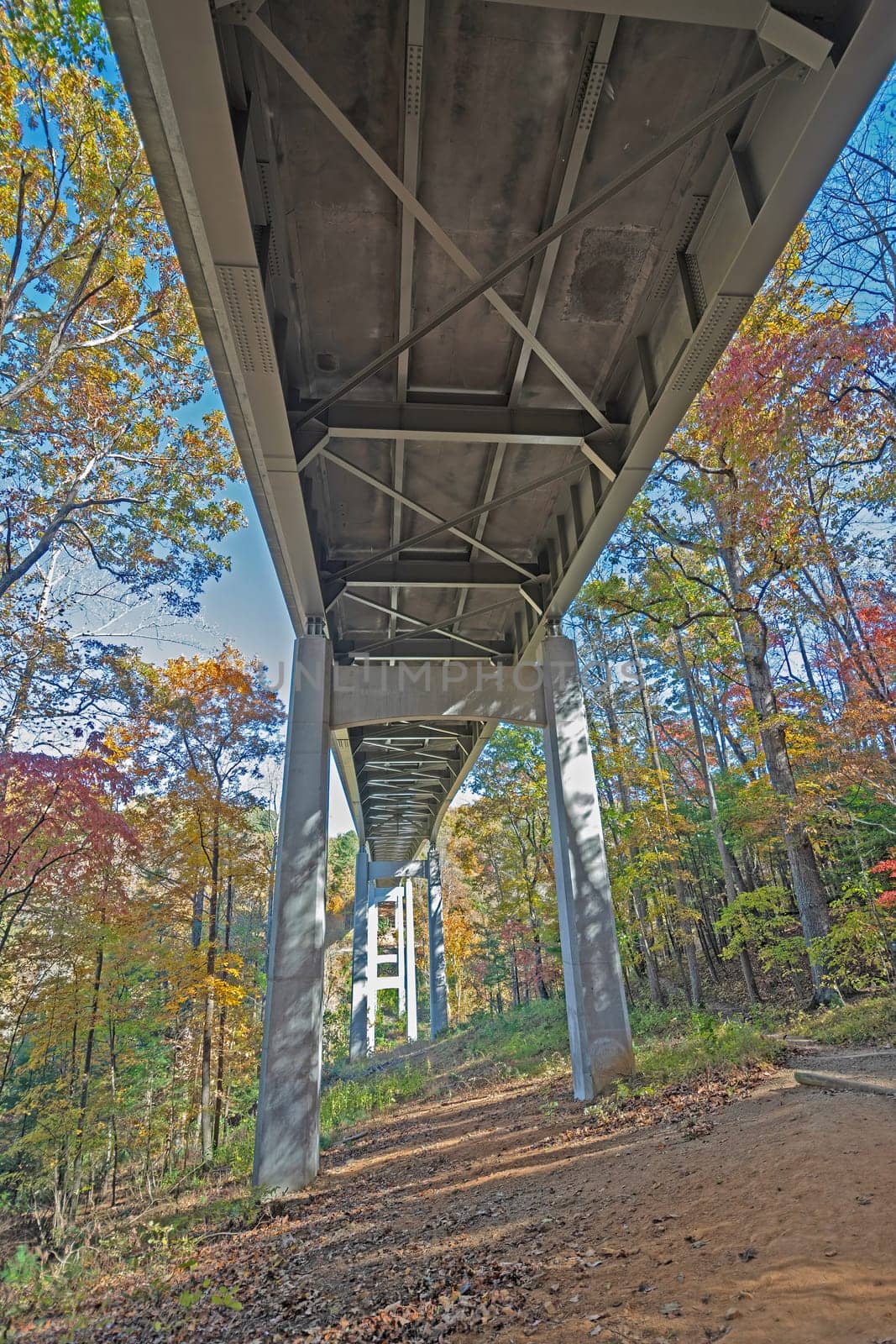 Underside View of a Blue Ridge Parkway Bridge Near the Roanoke River in Virginia